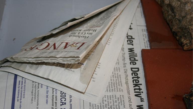 Zeitungspapier ist aus Cellulose – genau wie Laub. Dieses wird nur äußerst dürftig mit Wasser besprüht – Feuersalamander mögen es eher trocken – und alle zwei Wochen ausgetauscht. | Uwe Seidel