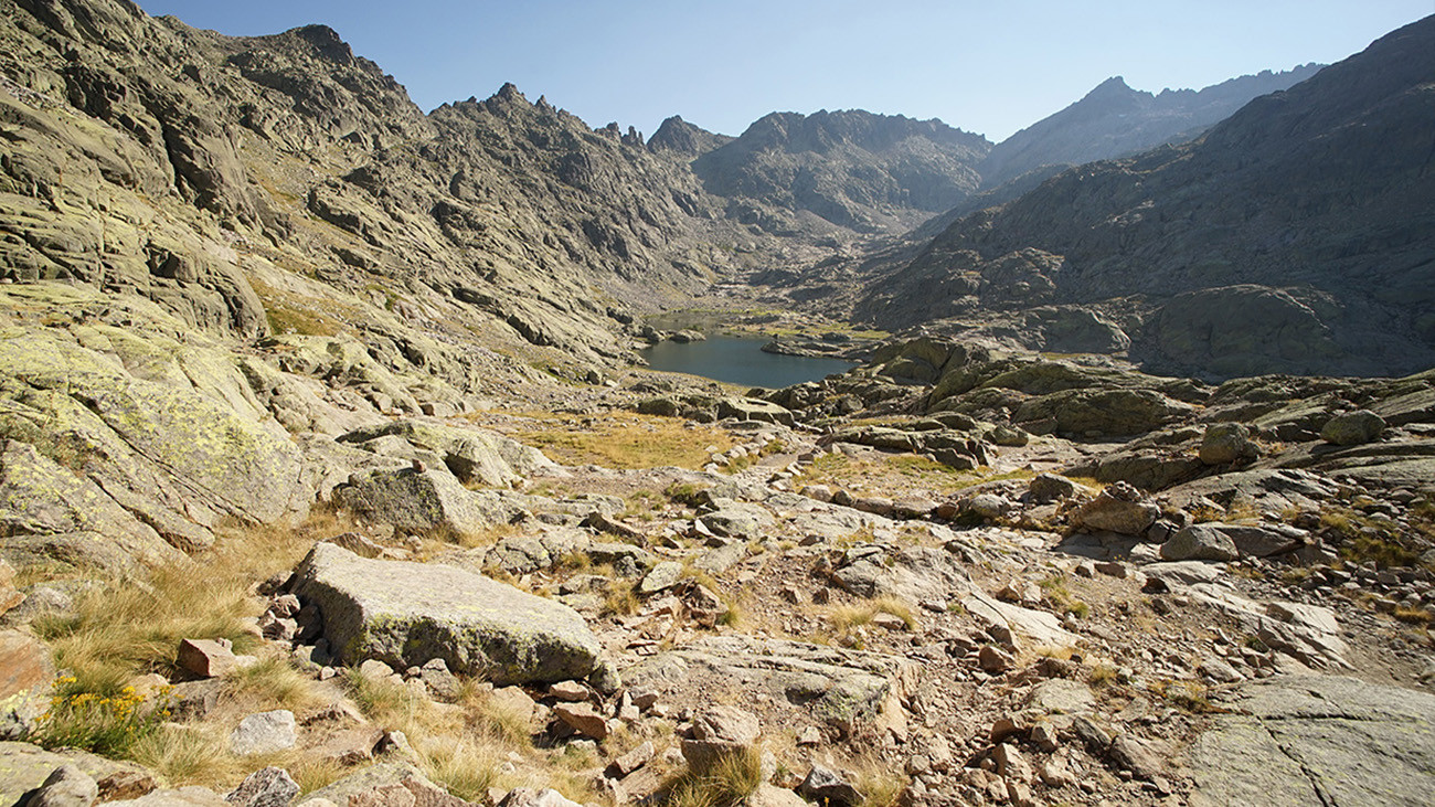 The Sierra de Gredos does not look like the typical forest biotope of the fire salamander. | Philip Gerhardt