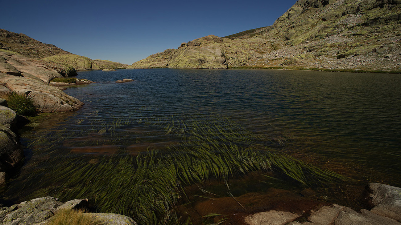 The Almanzor fire salamanders use the mountain lakes and streams to deposit their larvae. | Philip Gerhardt