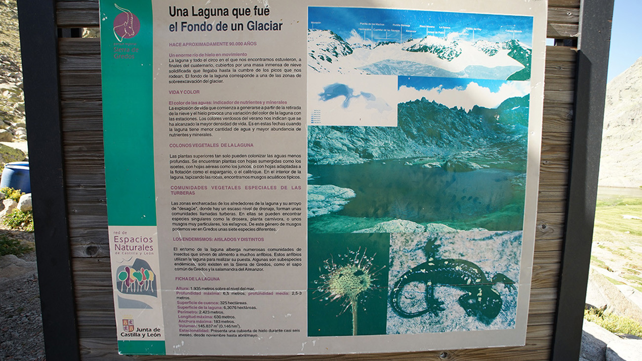 According to the Red List, the Almanzor fire salamander is considered “endangered” in Spain. This sign explains that the amphibians only occur here. | Philip Gerhardt