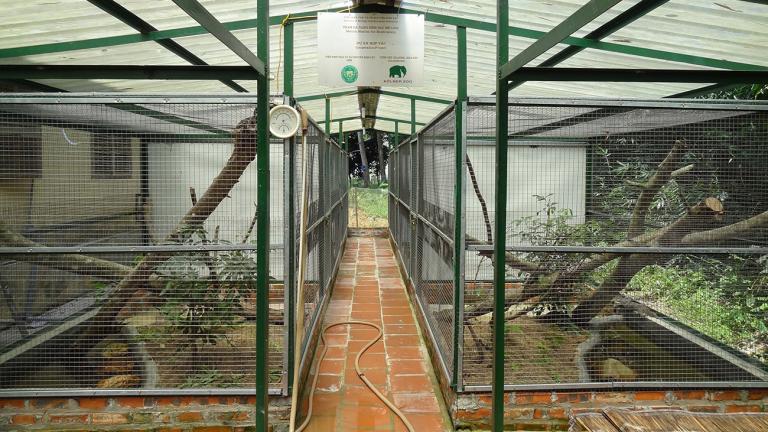 Die Me-Linh-Station dient u.a. als Auffangstation für beschlagnahmte oder verletzte Tiere, die hier gesundgepflegt und auf eine mögliche Wiederauswilderung vorbereitet werden. Häufig aufgenommene Tiere sind Warane. In diesen Anlagen können sie artgerecht gepflegt werden. | Thomas Ziegler