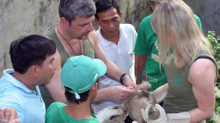 Anna Rauhaus hilft bei der Geschlechtsbestimmung eines stattlichen Warans, der in die Station aufgenommen worden ist. Die großen Echsen werden wegen ihres Fleisches und Leders illegal gejagt. | Truong Quang Nguyen