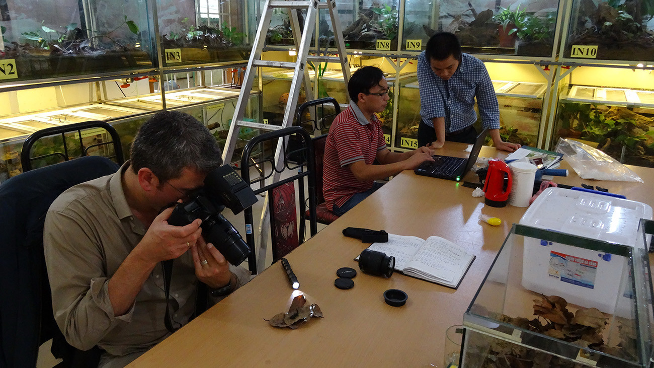 Für Amphibien gibt es in der Station einen eigenen Raum. Er dient als Basis für Forschungsprojekte, aber auch zur Nachzucht bedrohter Arten. | Thomas Ziegler