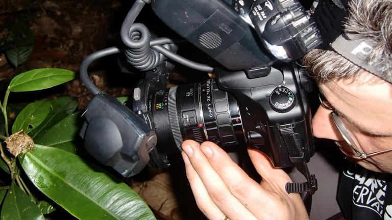 Die Fotos des ambitionierten Hobby-Fotografen dienen nicht nur seiner privaten Freude, sondern werden auch in Fachzeitschriften und -büchern publiziert. Bei seinen Exkursionen sammelt Tobias auch wertvolle ökologische Daten aus dem Lebensraum der Amphibien. | Nikola Pantchev