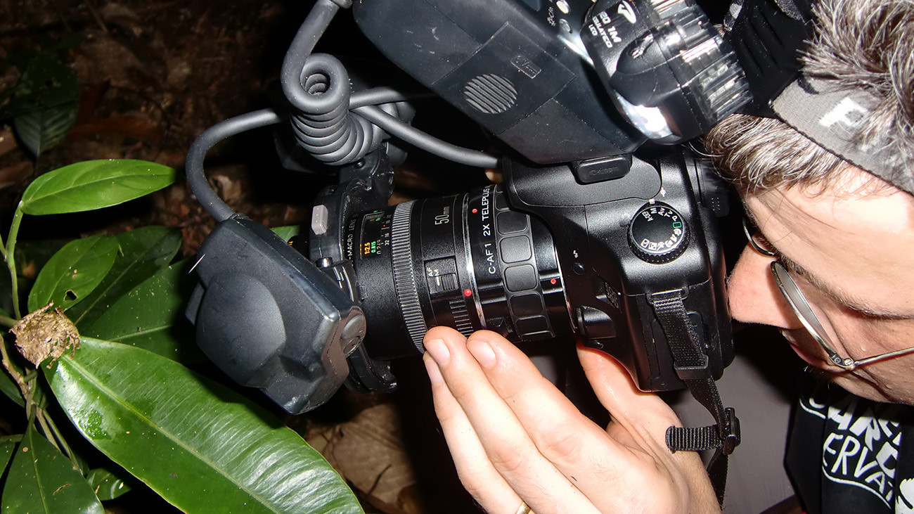 Die Fotos des ambitionierten Hobby-Fotografen dienen nicht nur seiner privaten Freude, sondern werden auch in Fachzeitschriften und -büchern publiziert. Bei seinen Exkursionen sammelt Tobias auch wertvolle ökologische Daten aus dem Lebensraum der Amphibien. | Nikola Pantchev