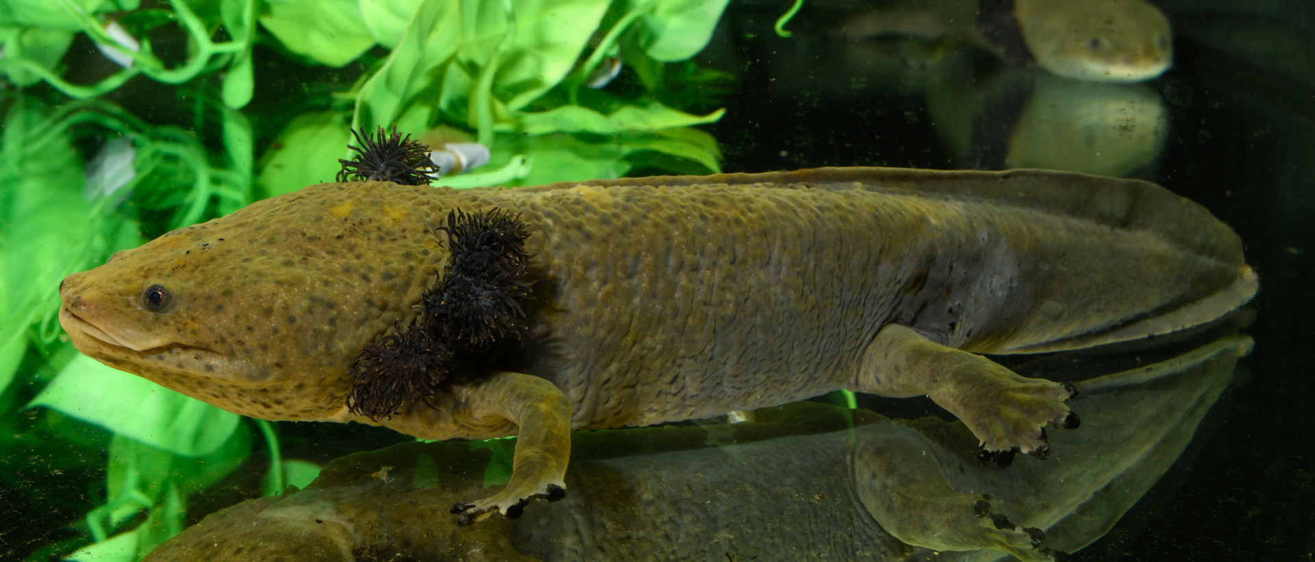 4_1_3_04_Haltungsrichtlinien