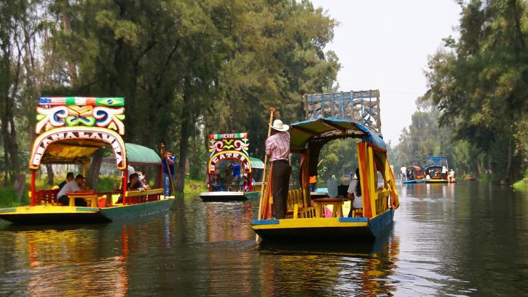 In the wild, on the other hand, they are probably already extinct – there are no Axolotls left in their original homeland in Lake Texcoco, Mexico City. | Steve Estvanik, Shutterstock
