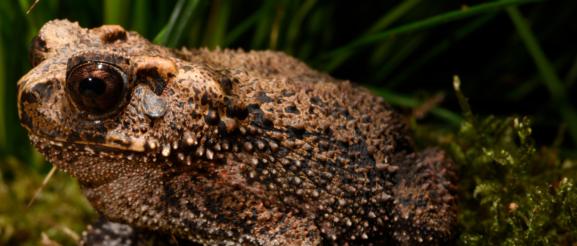 4_1_4_04_Haltungsrichtlinie