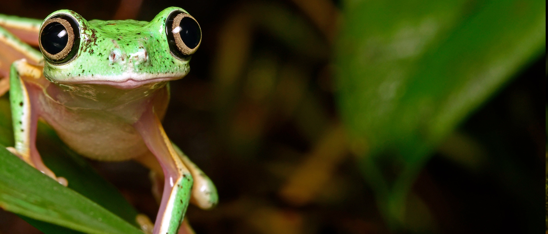 4_1_5_05_Haltungsrichtlinie