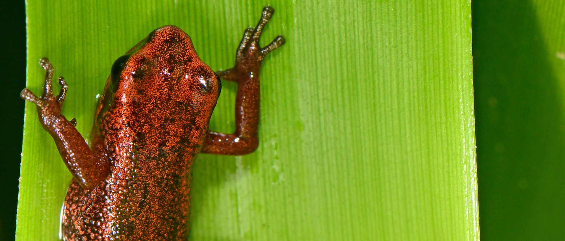 4_2_1_04_Haltungsrichtlinien