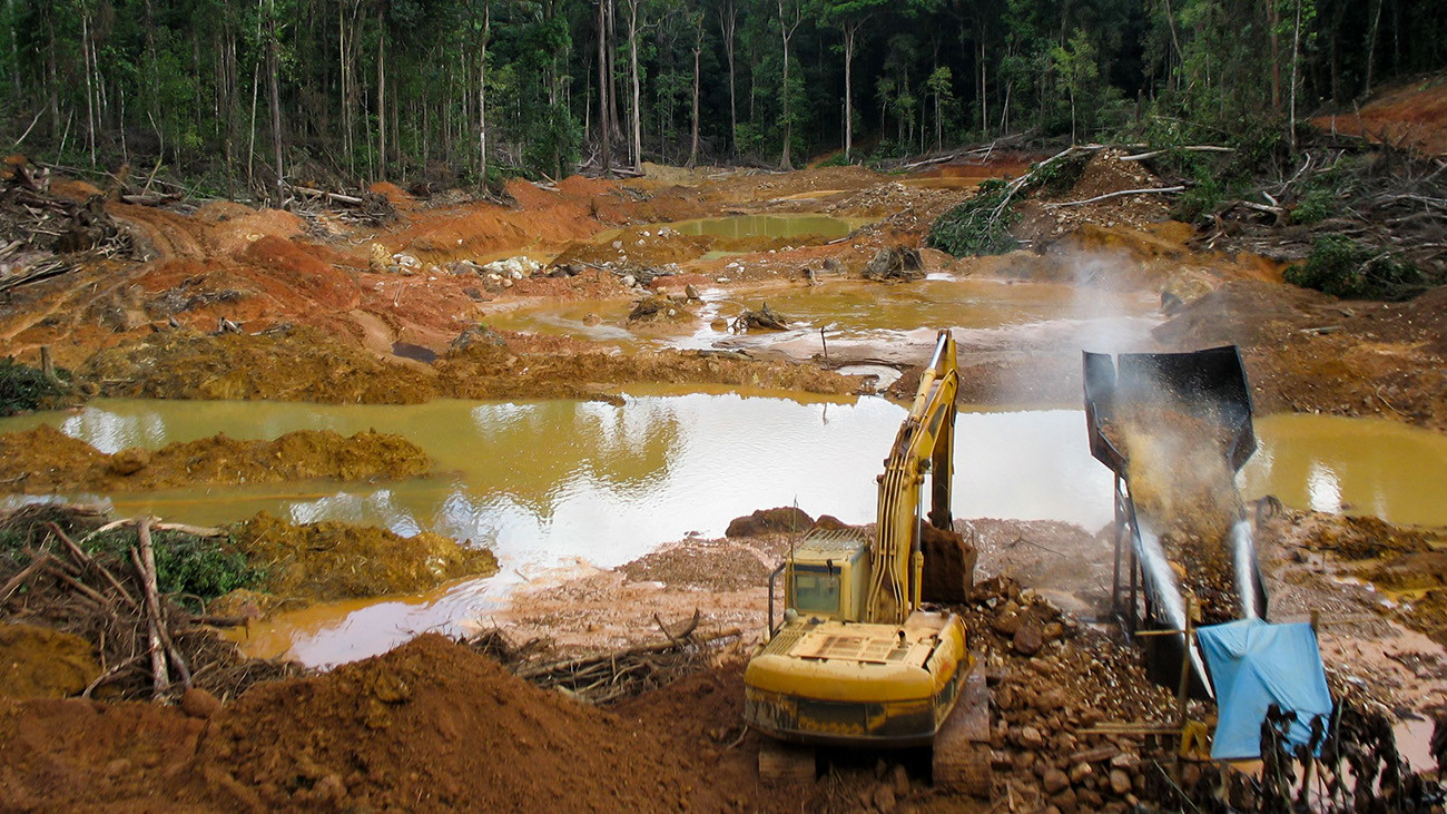 Mit schwerem Gerät rücken die Bergbaugesellschaften an und zerstören großflächig den Regenwald. | Kakteen, Shutterstock