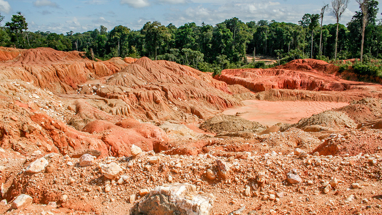 Verlassenes Goldsuchgebiet im Nachbarland Guyana. Für Frösche bleibt hier kein Platz. | Kakteen, Shutterstock