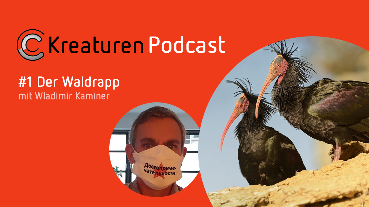 In der ersten Folge treffen gleich zwei schräge Vögel aufeinander. Der Schriftsteller Wladimir Kaminer stellt den Waldrapp vor.