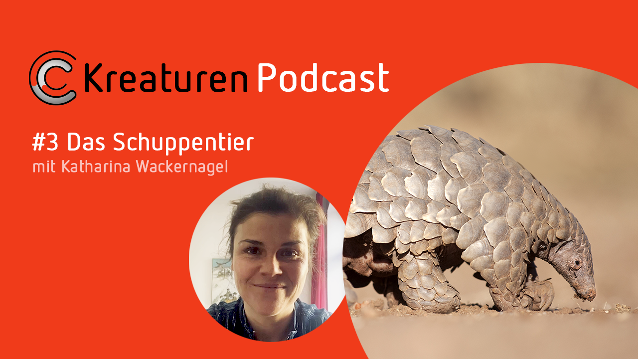 Schauspielerin Katharina Wackernagel begibt sich in Folge 3 in die Welt des Schuppentiers, dessen Evolutionsgeschichte Jahrmillionen alt ist.