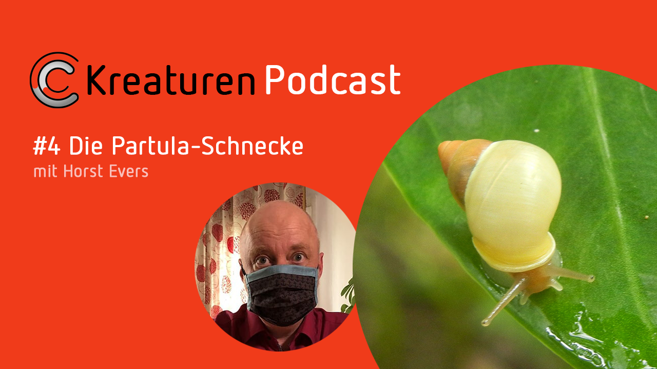 Der Geschichtenerzähler Horst Evers zeigt sich in Folge 4 fasziniert von den Geheimnissen der Partula-Schnecke.