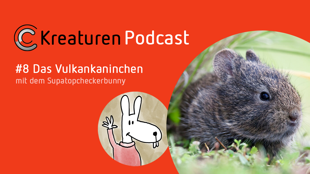 Das Vulkankaninchen ist besonders klein und besonders niedlich. Logisch, dass sich das legendäre Supatopcheckerbunny das in Folge 8 mal näher anschaut.