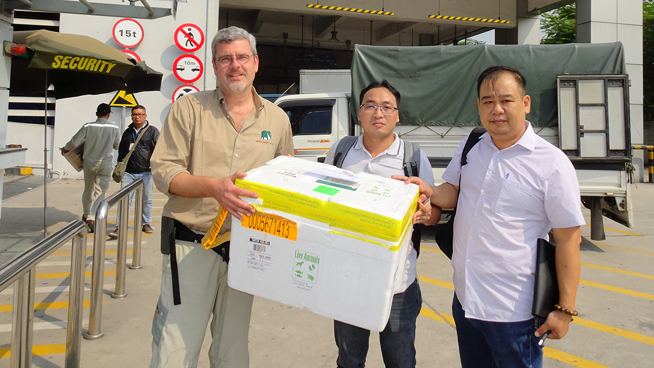 Annahme der von einem Spezialunternehmen verschickten Krokodilmolche am Flughafen Hanoi | Melinh Station