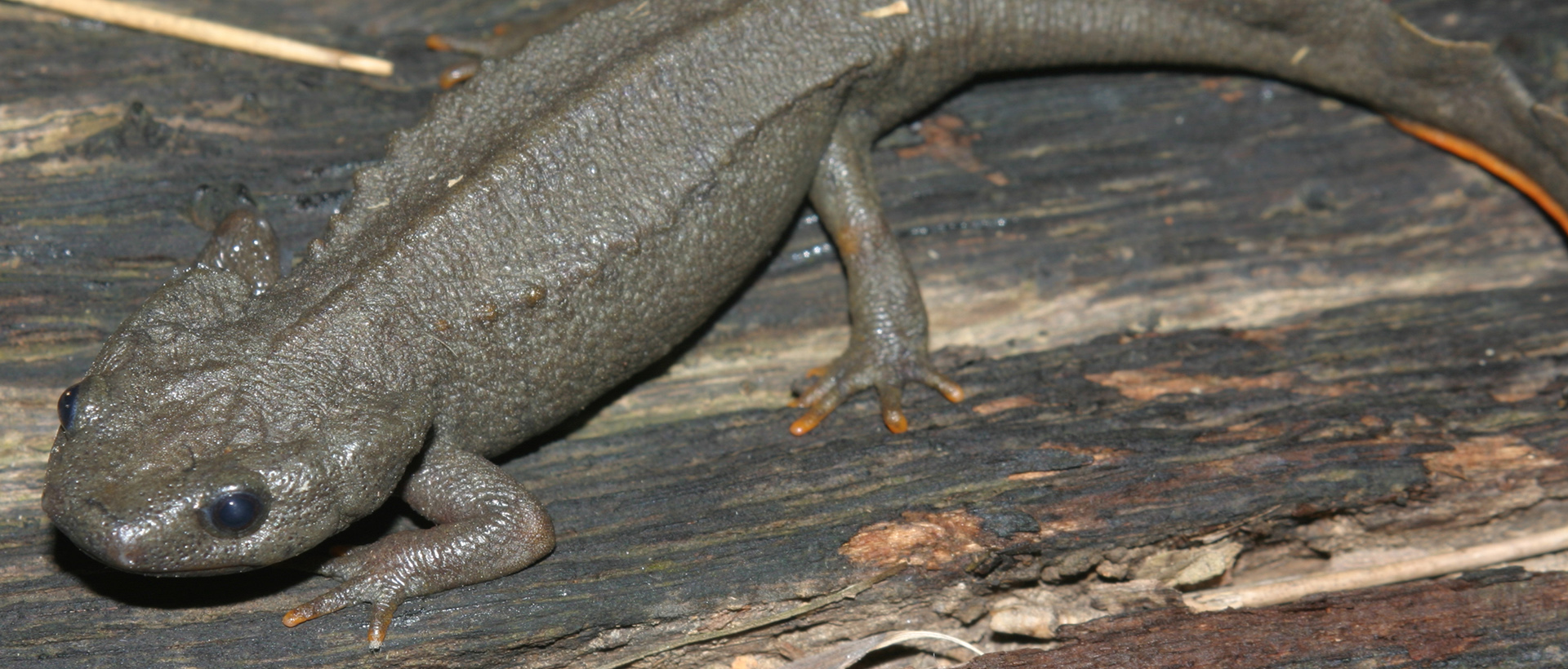 ATv20_Basisinformationen_1920x820