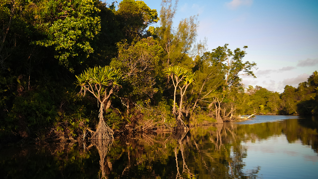Die Fische waren in der Umgebung des Rasoabe-Sees (hier im Bild) gesammelt worden. Der liegt allerdings einige hundert Kilometer nördlich vom Fundort von Bedotia geayi. | Homo Cosmicos/Shutterstock