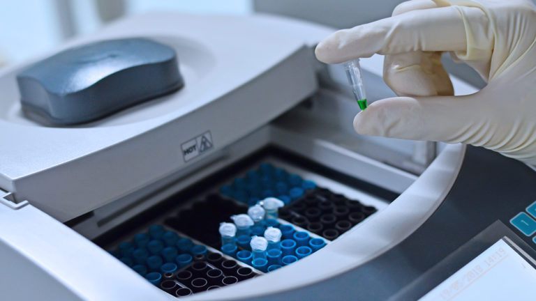 Für den Artenschutz muss die Artbestimmung sicher sein. Deshalb ließen Kölner Zoo und Universität Braunschweig Gen-Sequenzierungen mittels PCR vornehmen. | Kallayanee Naloka/Shutterstock