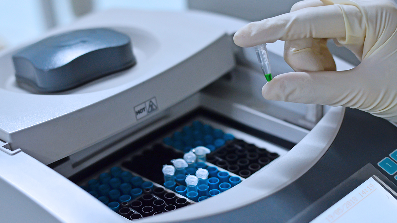 Für den Artenschutz muss die Artbestimmung sicher sein. Deshalb ließen Kölner Zoo und Universität Braunschweig Gen-Sequenzierungen mittels PCR vornehmen. | Kallayanee Naloka/Shutterstock