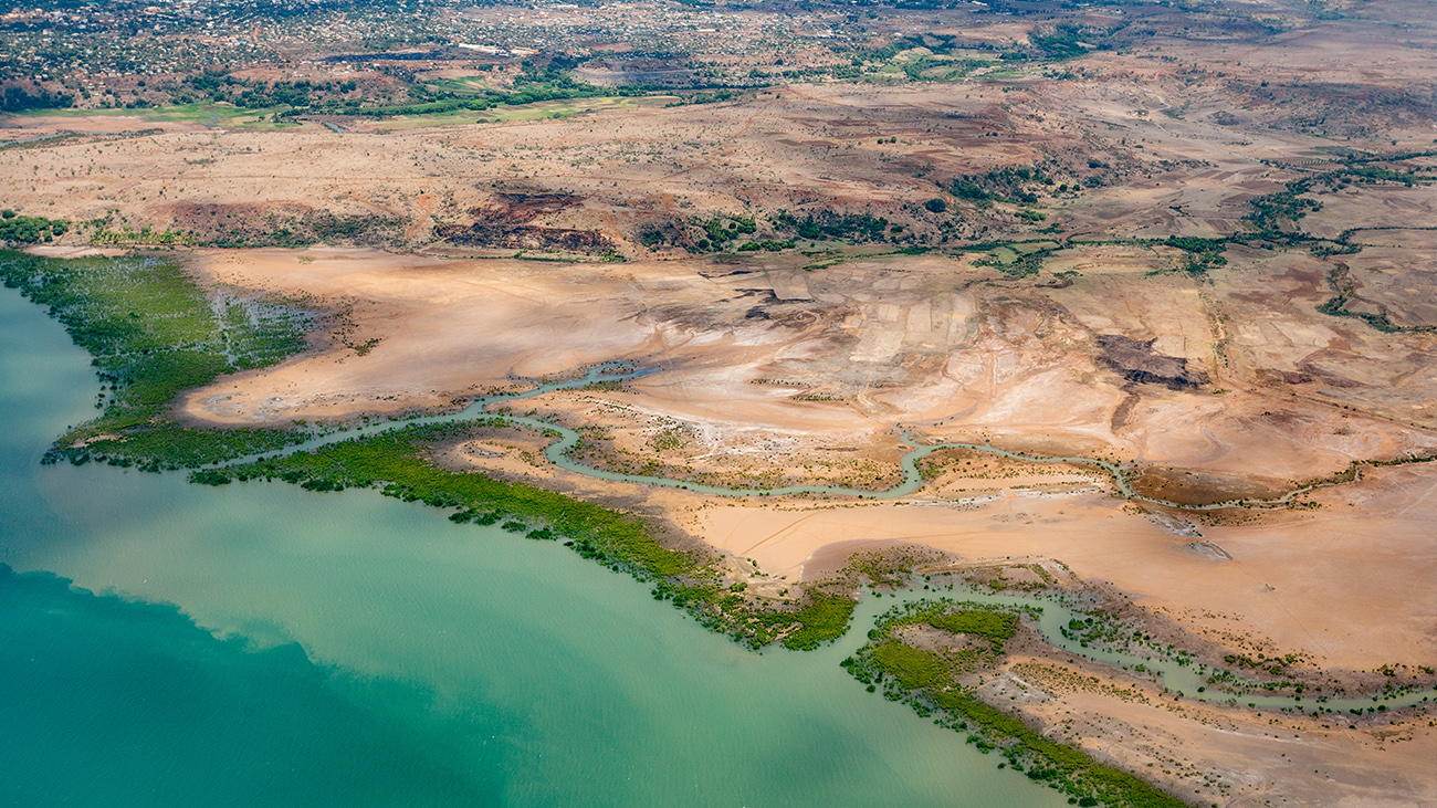 Die verstärkte Erosion durch fehlende Wälder in Ufernähe führt zu einer Verschlammung der Gewässer; die Ährenfische mögen aber klares Wasser. | Artush/Shutterstock
