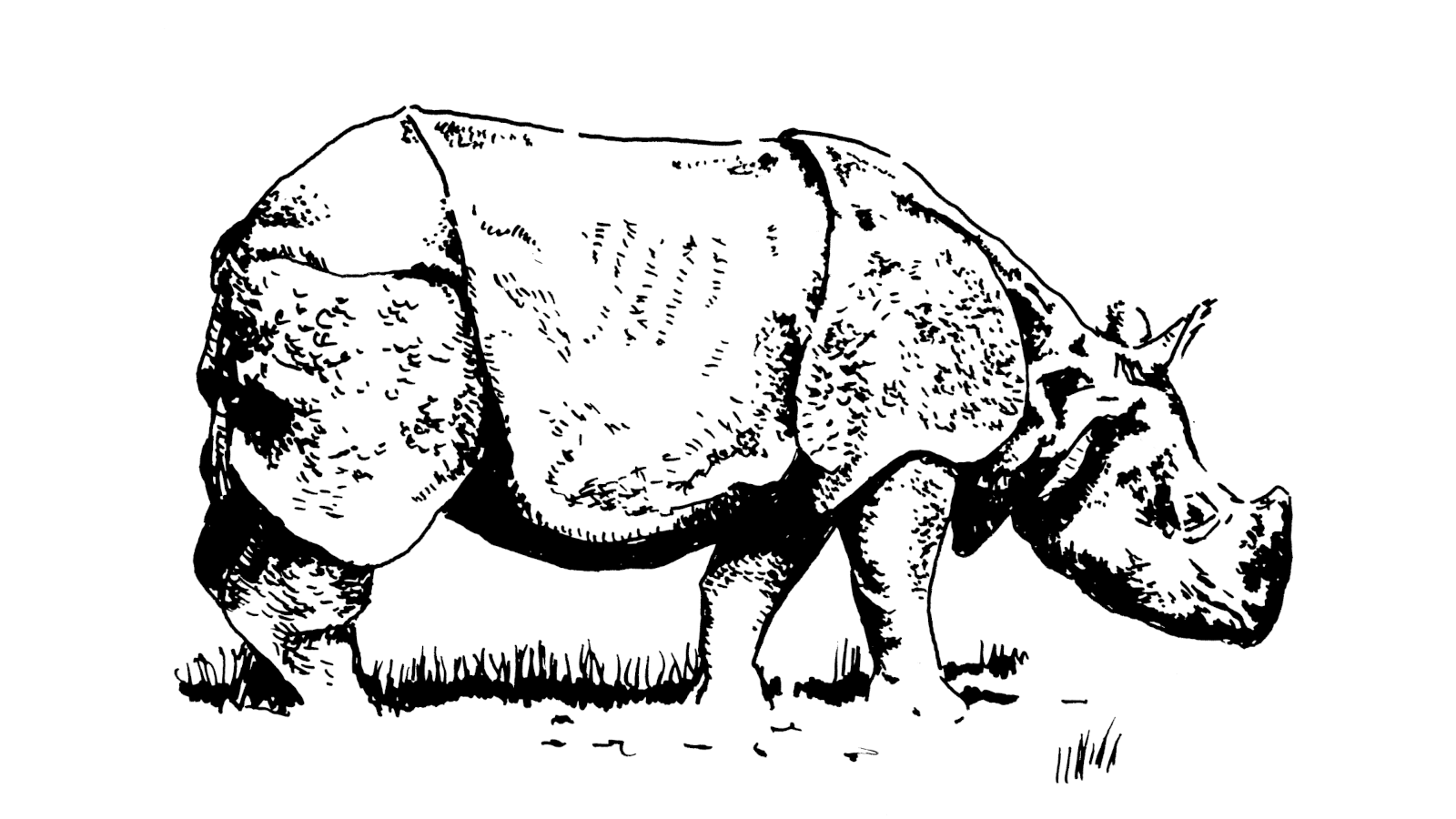 Patron*in des Panzernashorns: Almut FellerThomas Feldhaus Vignette | Lisa Neuhalfen