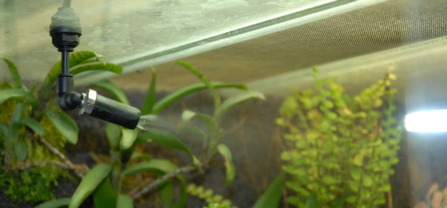 Basisinformationen terribilis_Foto_DSC_0347_Ausschnitt1