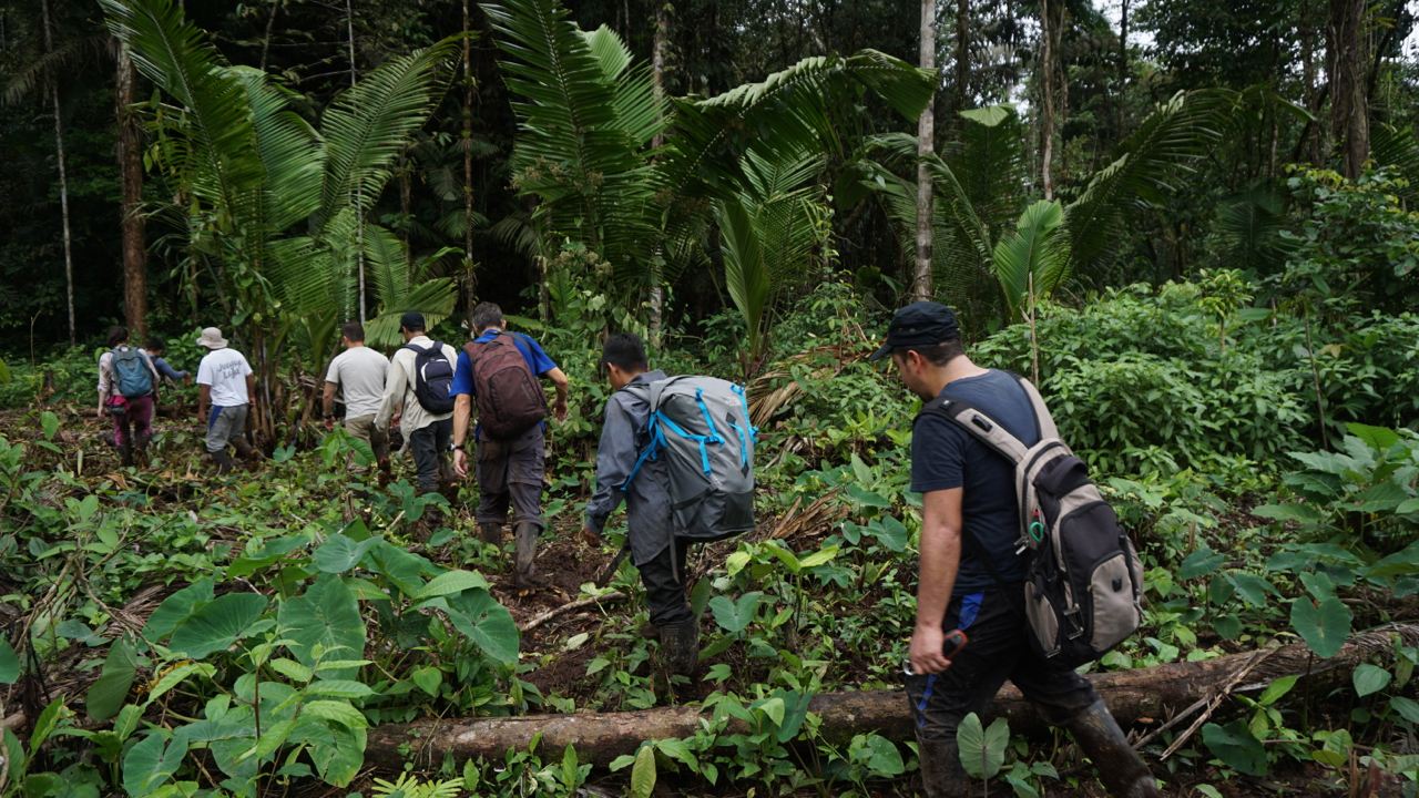 Aufbruch in den Lebensraum der Giftfrösche | Björn Encke, Frogs & Friends
