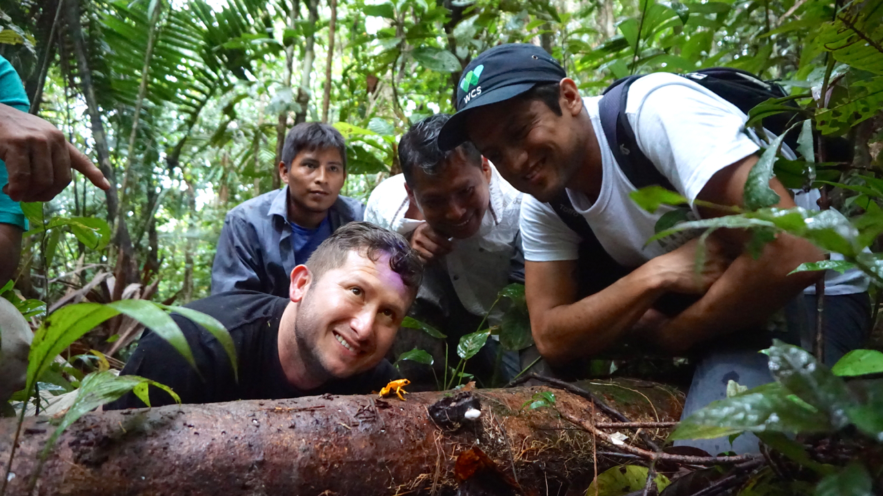 Erfolg: Das Team um den Biologen Carlos Galvis (links) vom Zoo Cali freut sich über die Begegnung mit den Giftzwergen. | Björn Encke, Frogs & Friends