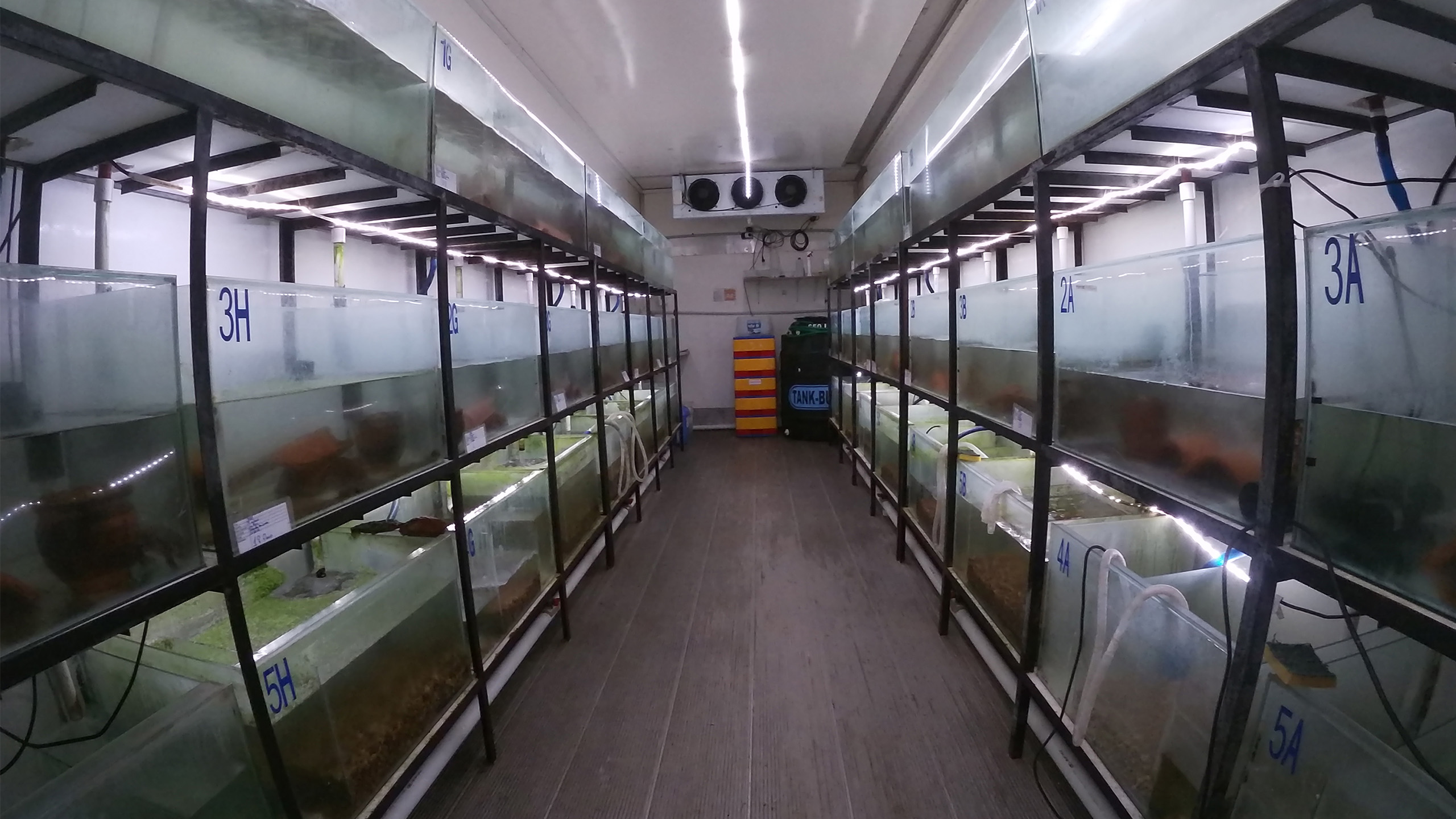 Neuer Container für die Haltung von T. culeus des K'ayra Centre und des Museo de Historia Natural Alcide d'Orbigny | Ricardo Zurita, Museo de Historia Natural Alcide d'Orbigny