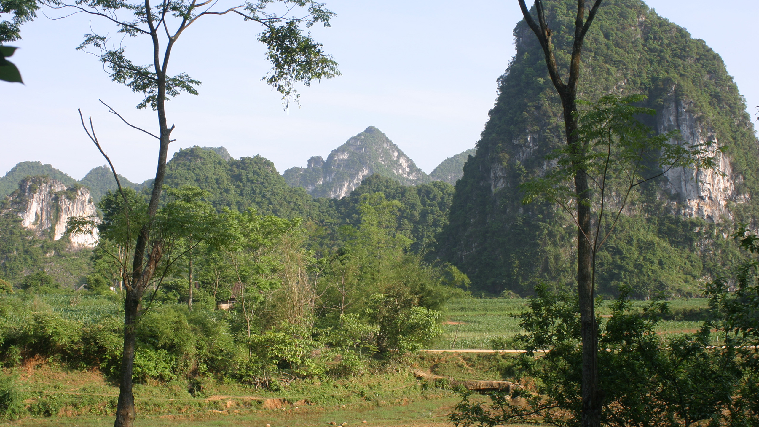 In the habitat of Ziegler's crocodile newt in the Cao Bang province in northern Vietnam – the landscape is characterized by karst rock formations. | Thomas Ziegler
