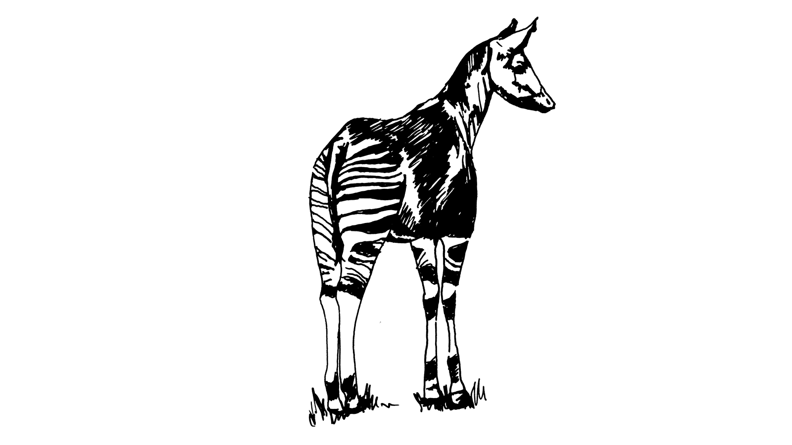 Patron*in des Okapis: Almut Feller Carsten Noack Vignette | Lisa Neuhalfen