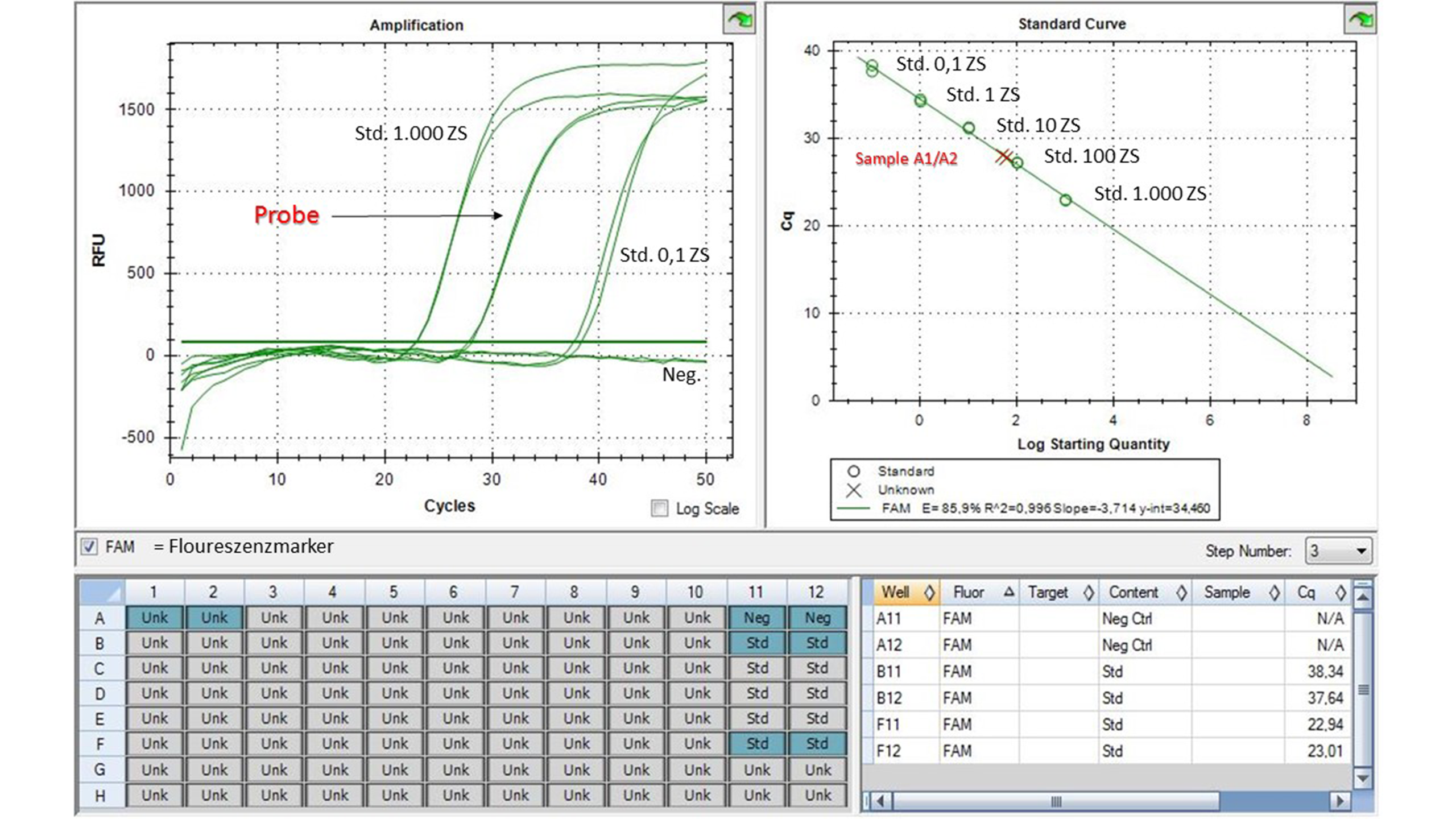 Traurige Gewissheit: positiv auf Bsal ausgefallener PCR-Befund | Miguel Vences