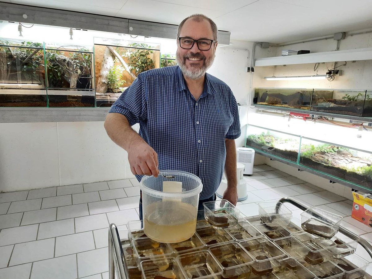 CC participant Thomas Wilms was highly successful in propagating the Lake Pátzcuaro salamander. | Thomas Wilms