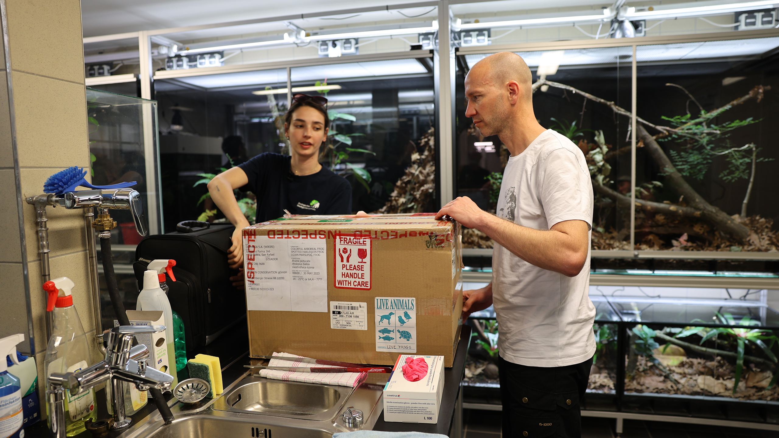 Ankunft in der Quarantänestation des Zoos Karlsruhe | Timo Deible, Zoo Karlsruhe