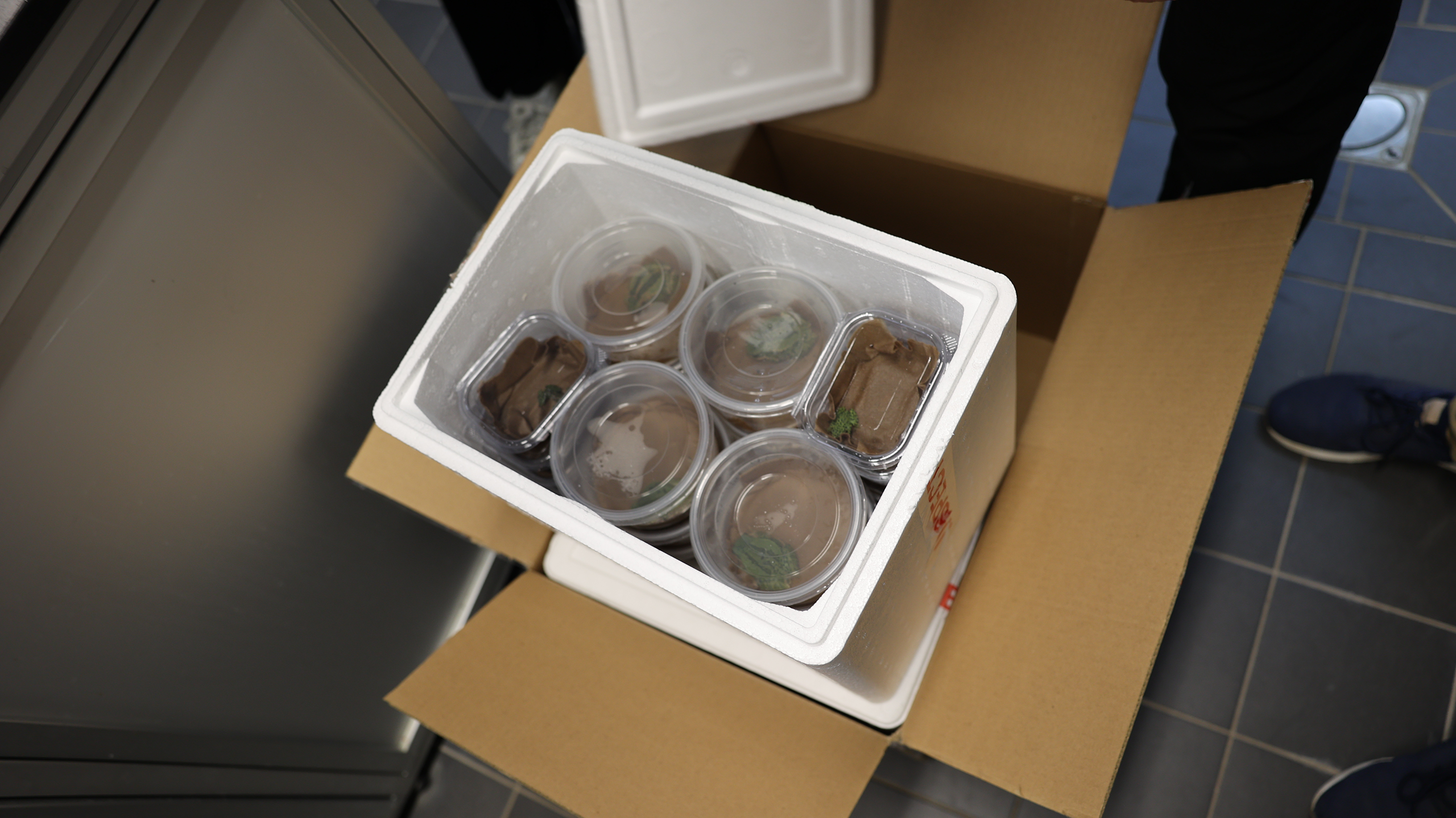 Eine Kiste voller hoch bedrohter Kröten und Frösche | Timo Deible, Zoo Karlsruhe